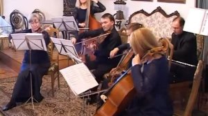 Концерт камерного струнного оркестра Владимирской филармонии