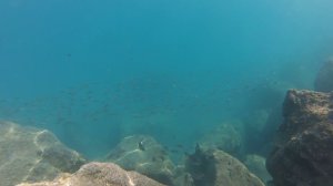 Кемер Средиземное море. Под водой 2015