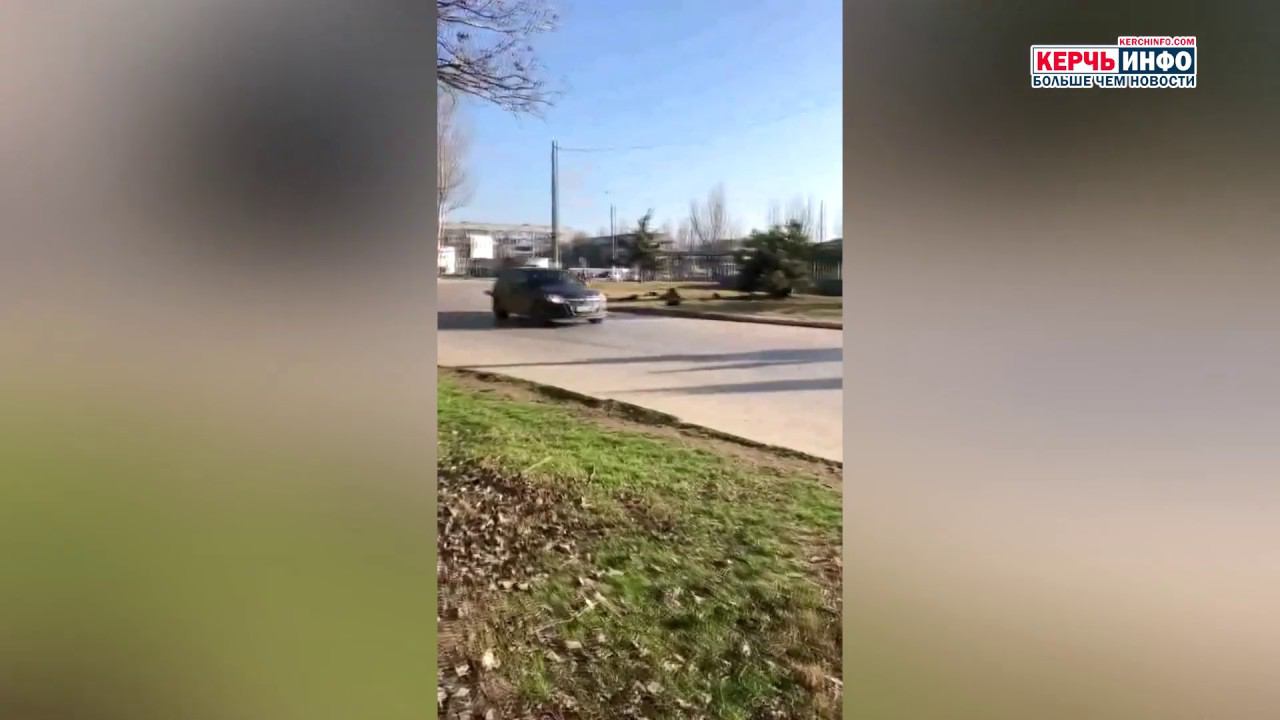 В Керчи увеличивается количество бездомных собак смотреть онлайн