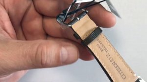 BM6838-09X Citizen Chandler Eco-drive Green Dial