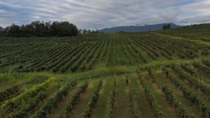 Ваш отдых в Абхазии