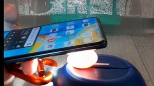 что нужно знать перед разведением рептилий - бизнес на риптилиях