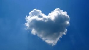 Никольский К. Птицы белые мои (Бури и метели). Клип от V V