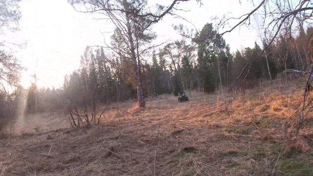 Поездка по тайге на квадроциклах CF moto 500 2a и STELS 500. смотреть онлайн