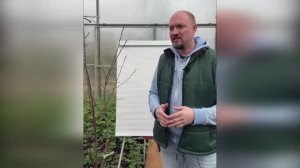 Прививка и обрезка плодовых весной. Обрезка колоновидных яблонь.