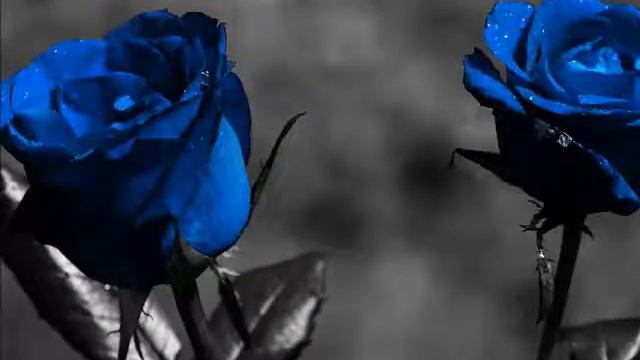 Когда  нибудь. Валентина.K смотреть онлайн