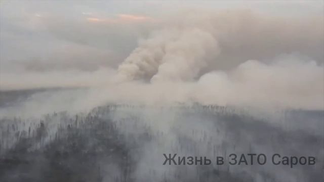 Показываю как тушили заповедник в Мордовии. смотреть онлайн