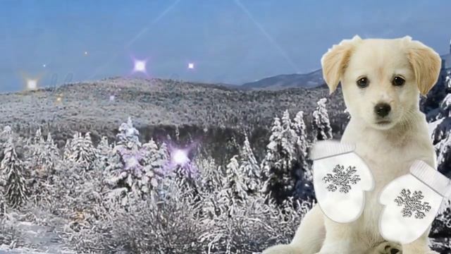 С ПЕРВЫМ ДНЕМ ЗИМЫ! С НАЧАЛОМ ЗИМЫ! Красивое поздравление С 1 ДЕКАБРЯ! СЧАСТЛИВОГО ДЕКАБРЯ!