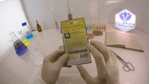 Астра Пампушка Голубика Со Сливками. Гавриш