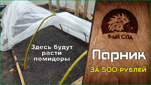 Парник в теплице за 500 рублей - 9-ый сад