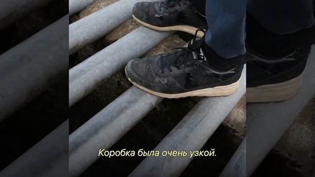 Пришлось Сделать Ловушку, Чтобы Спасти Этого Неуклюжего Ежика смотреть онлайн