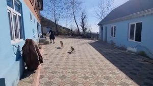 ТАНДЫРНЫЙ ХЛЕБ Азербайджанская Кухня Деревенская Кухня  Рецепты