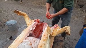 Как разделать свинью.Мастер клас от Олега.