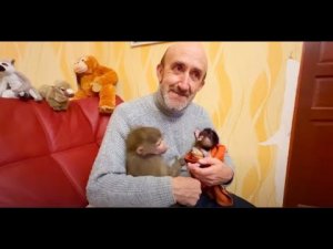 Влад с Люсей и Стёпкой на руках напоминает мне РАДИСТКУ КЭТ!