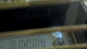 Как ухаживать за волнистым попугаем.