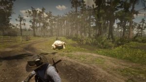 RDR2 - The legendary Bullgator's heart attack