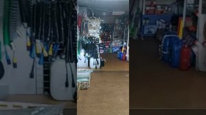 Новые диодные противотуманные фары Скания 5 серии