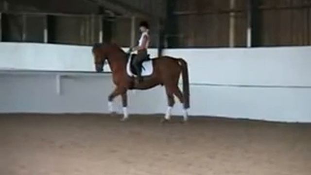 Equine Osteopath Bruce Hewett, BSc(Hons)OST DO смотреть онлайн