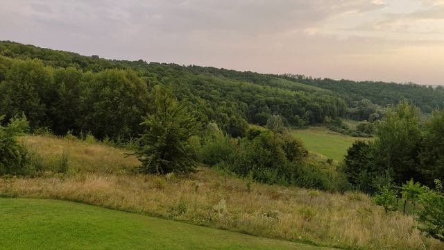 Нарния видио