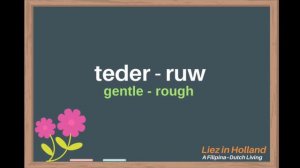 #24🇳🇱 Learn Dutch ANTONYMS | Increase Vocabulary | Inburgering