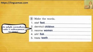 Spotlight (английский в фокусе) 3 класс Грамматический тренажер страница 50 номер 5 ГДЗ решебник