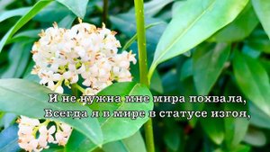 Небо знает… Елена Ваймер