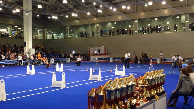 Евразия 2015. Флайбол. смотреть онлайн