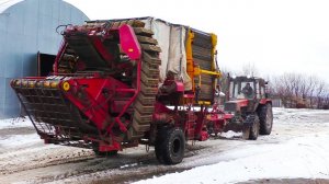 Ну что, пора копать картошку))) Загоняем картофелеуборочные комбайны в ангар!