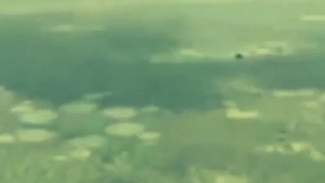 НЛО рисует круги на полях 3