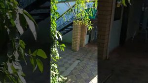 Жилье в Соль Илецке                 гост. дом "Лилия-2" ул.Комсомольская, 1г/2       август 2021