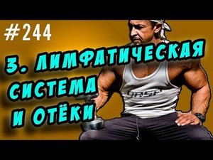 лимфатическая система. лимфатические отеки. как возникают и как бороться.