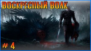 Волк снова в седле, будем жить. Witcher 3 #4