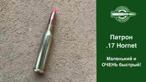 Патрон 17hornet