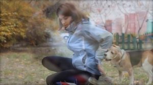 Как научить собаку ПРЫГАТЬ НА СПИНУ