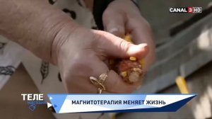 Urmărește Telemagazin la Canal 3