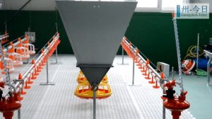 АВТОМАТИЧЕСКАЯ РАЗДАЧА КОРМА ДЛЯ СХ ПТИЦЫ | Линии кормления | СИСТЕМА КОРМЛЕНИЯ БРОЙЛЕРОВ ИЗ КИТАЯ