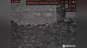 55+ rats - Week 9 ratting action - Hikmicro cheetah lrf - night vision rat hunting