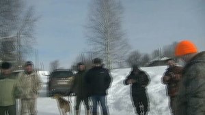 Выставка охотничьих собак гончих пород.