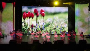 ТОДЕС Марьино,X Babes Гран При в номинации малыши на фестивале ТОДЕС-Воронеж 2015.