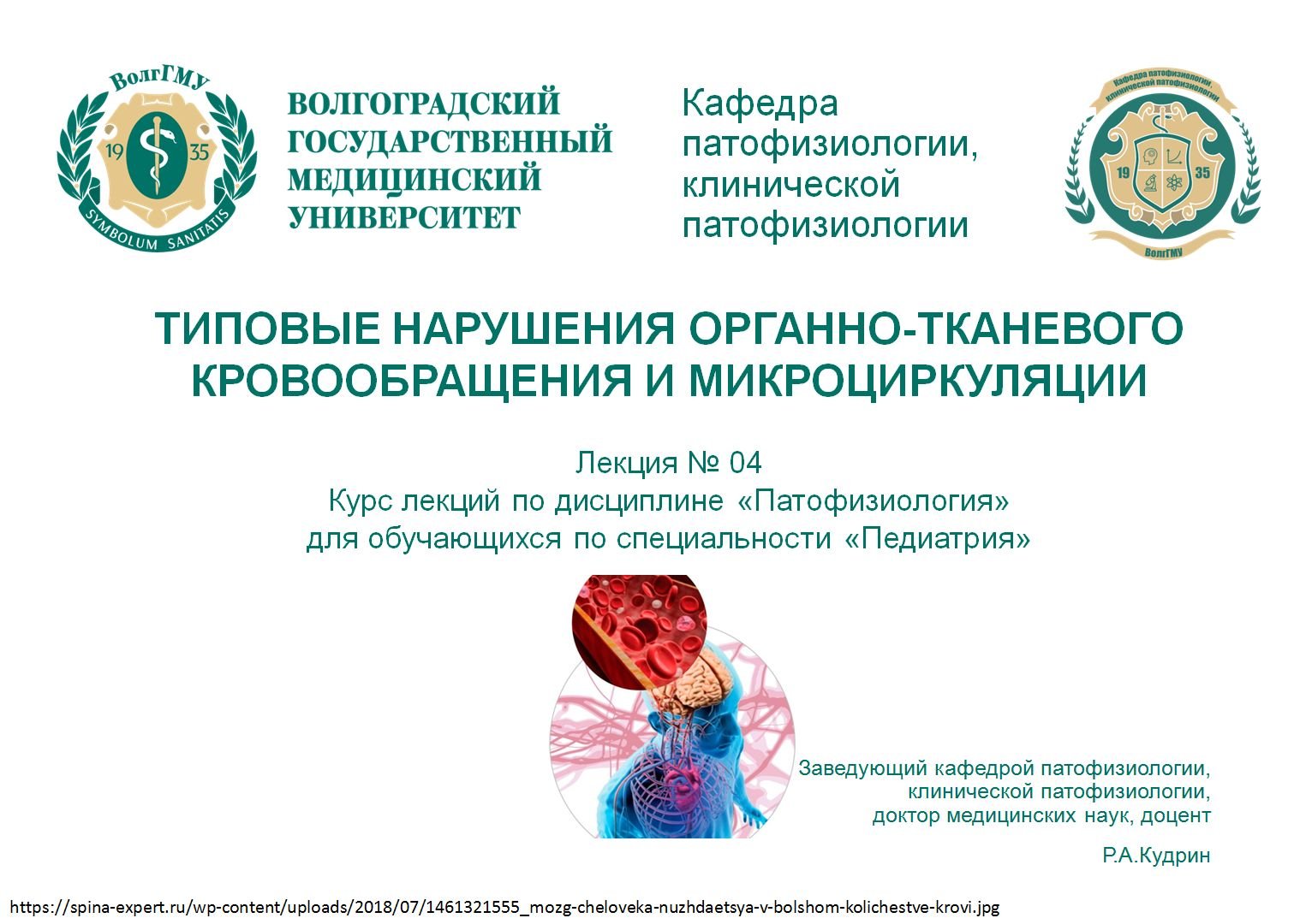 Лекция 04. Типовые нарушения органно-тканевого кровообращения и микроциркуляции