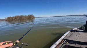 MLF Toyota Series Central Division stop one on Guntersville. Trap Fishing in February