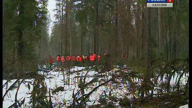 Рубить или не рубить в защитных лесах? смотреть онлайн