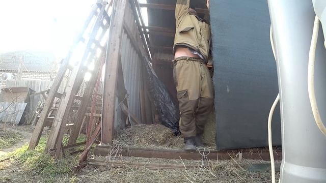? Неужели животные спасены? Нам посылка, и наши покупки.