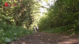 Поиск пропавших в лесу людей