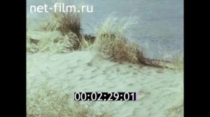 1980г. Каракумский канал. город Мары. Туркменистан.