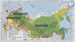 География 9 класс (Урок№11 - Лесная промышленность.)