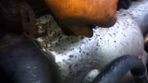 Timing belt tear Opel Astra / Порвался ремень ГРМ Opel Astra