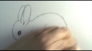 How to draw a bunny