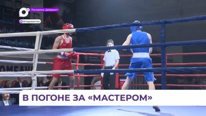 Во Владивостоке проходит всероссийский турнир по боксу памяти Сахарова