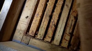 Так зимуют пчелы на Урале